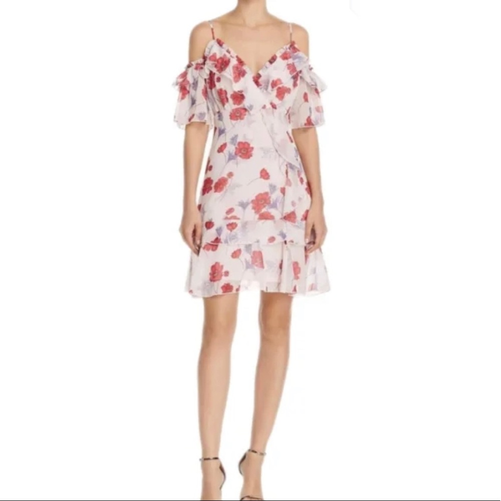 Endless Rose Darling Poppy Dress